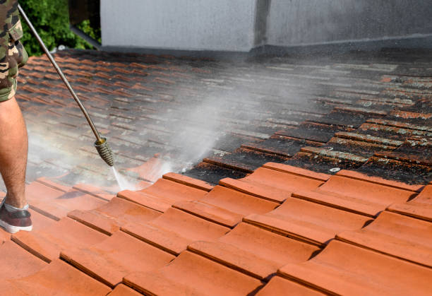 Best Pressure Washing Near Me  in San Lorenzo, CA