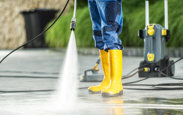 Best Affordable Power Washing  in San Lorenzo, CA