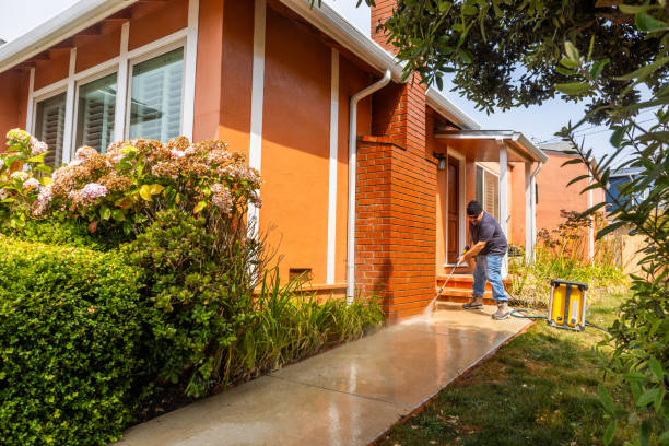 Best Concrete Pressure Washing  in San Lorenzo, CA
