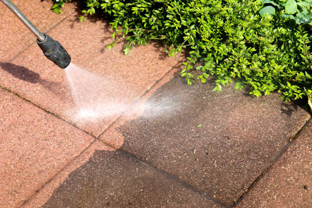 Best Deck Cleaning Services  in San Lorenzo, CA